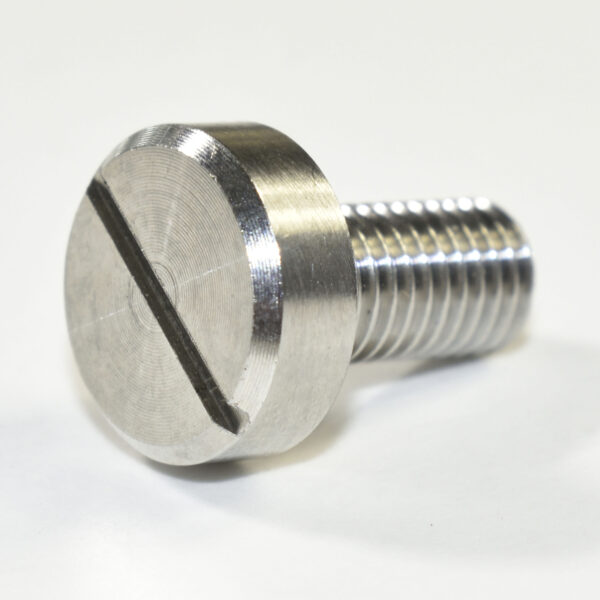 Wayne 60 Glass Bezel Bolts (Large Head) - Stainless