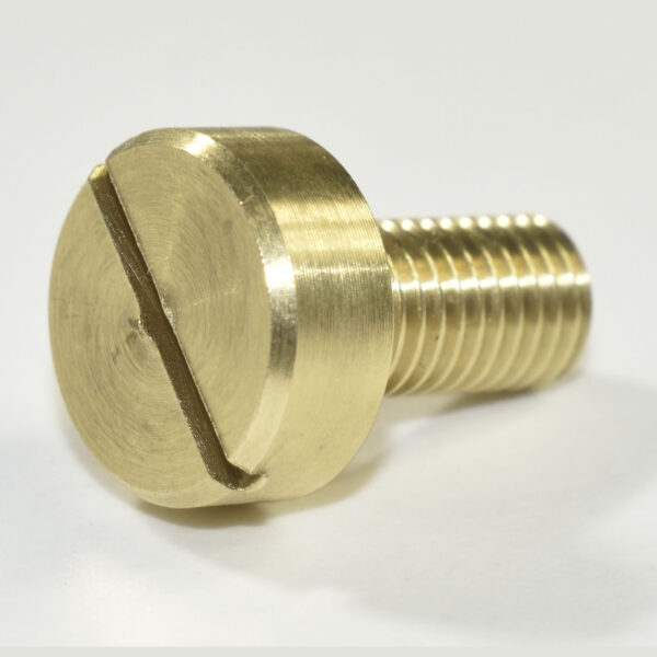Wayne 60 Glass Bezel Bolts (Large Head) - Brass
